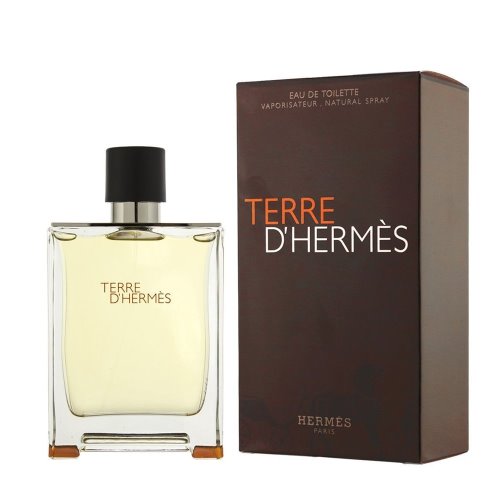 Terre D'Hermes 100ml EDT for Men 3346131400003